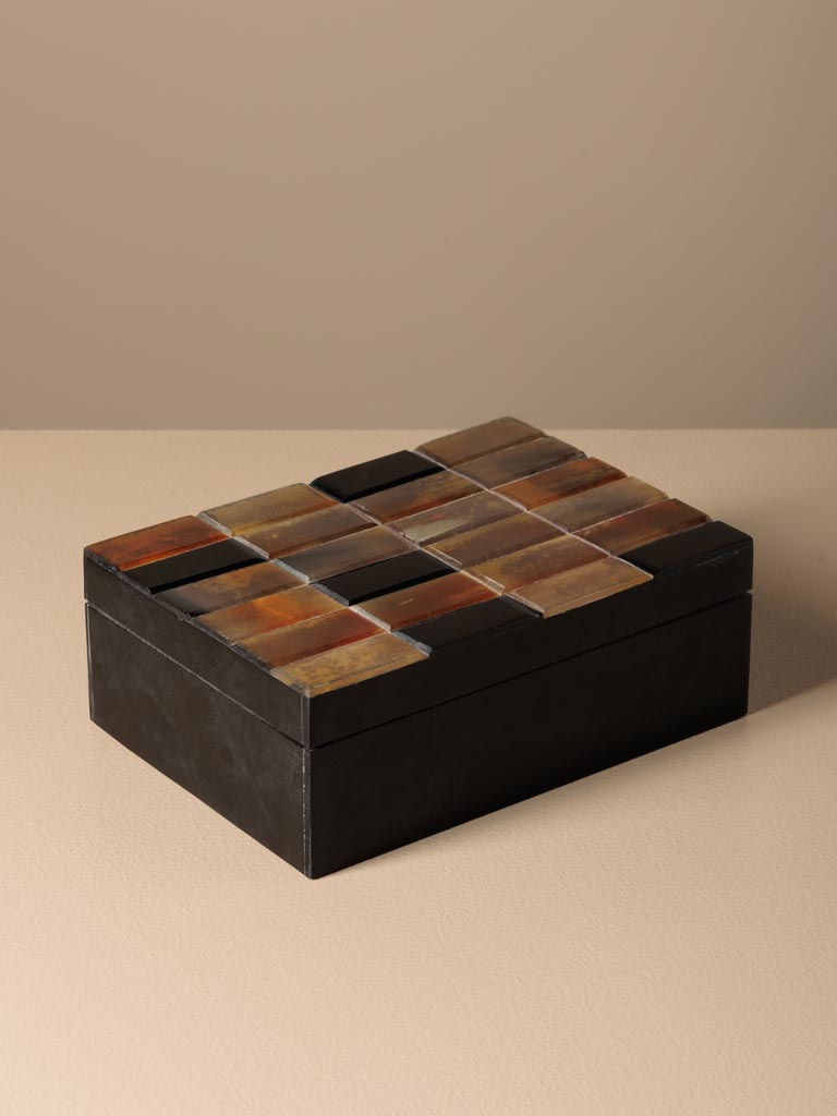 Boîte résine et corne Zoran Chehoma