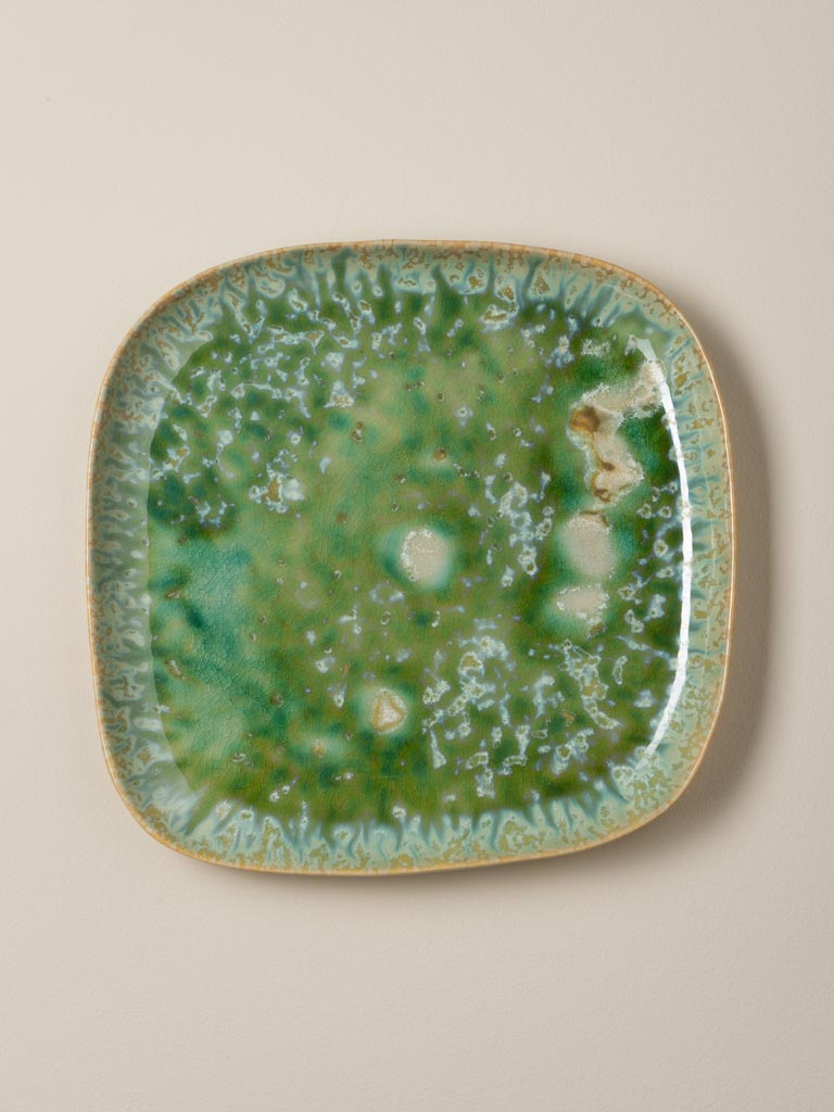 Assiette verte Intense Chehoma