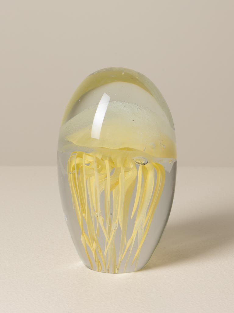 Sulfure méduse jaune clair CHehoma