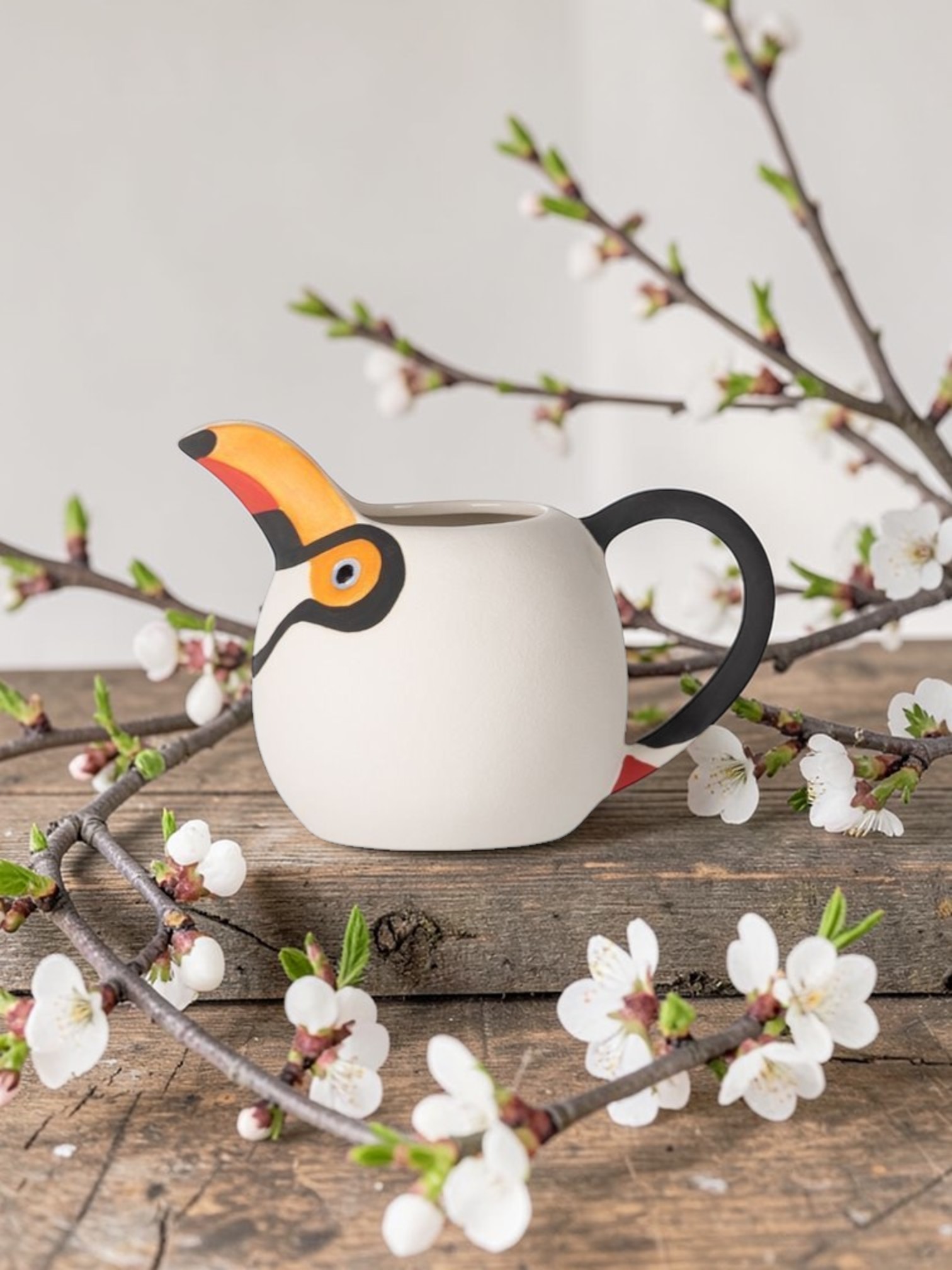 Pichet Birdy Toucan Athezza